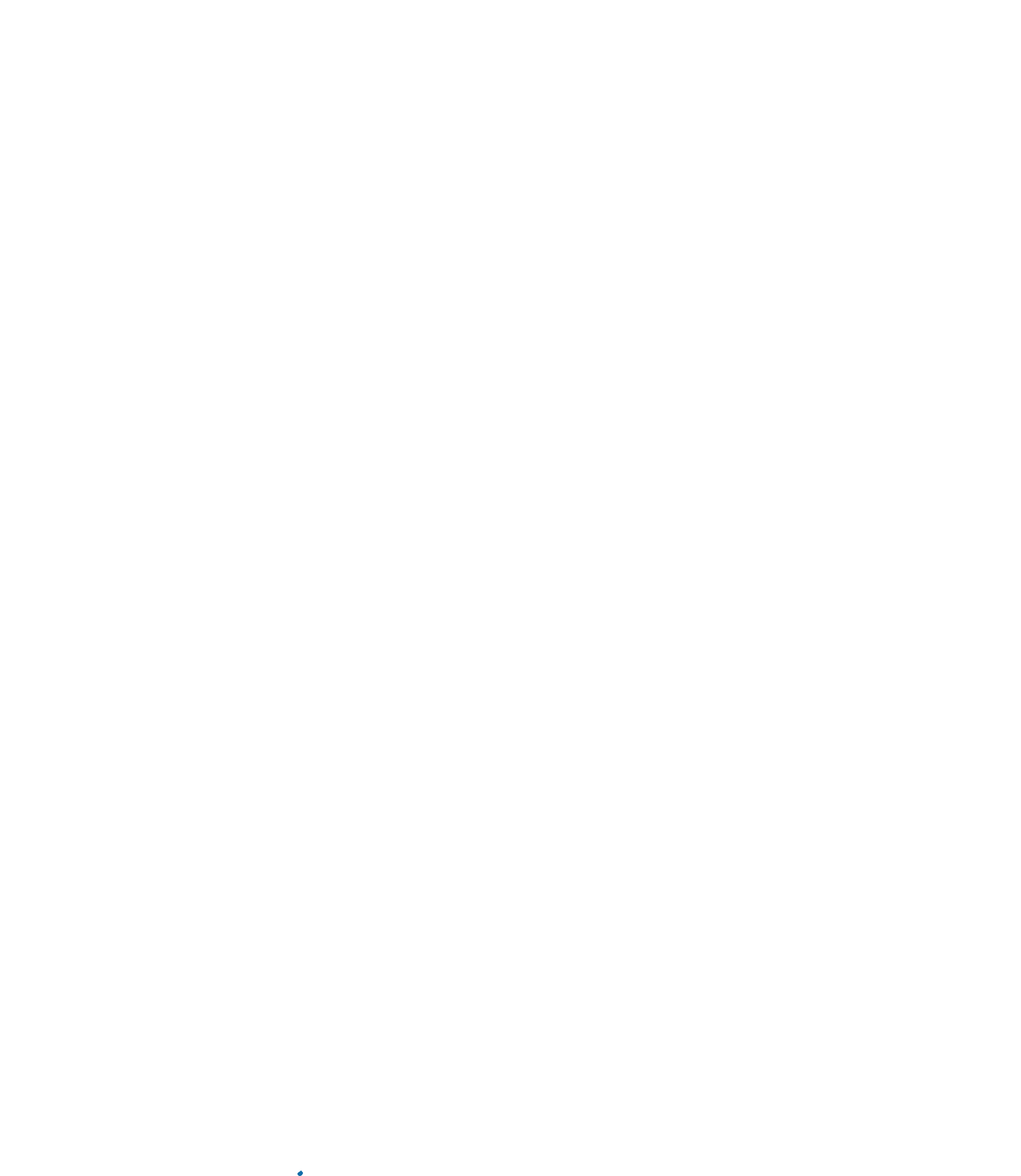 Logo S2X